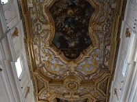 DSC 0713 (Copy)